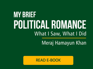 my-political-romance-image